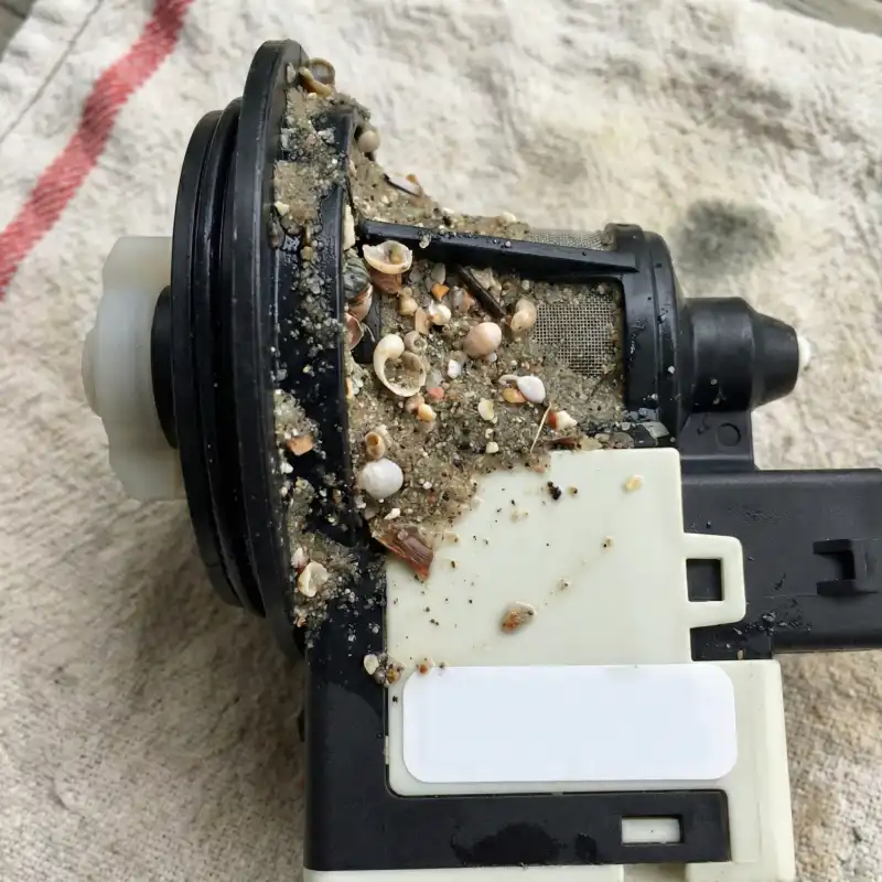 Close up of a washing machine drain pump filter clogged with sand and seashells from an Isle of Palms rental.